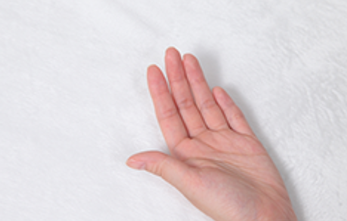 ���b�g���̐��n